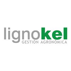 Horario de apertura Lignokel, Pego