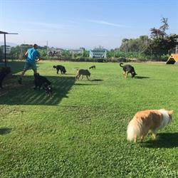 Horario de apertura Centre Caní Baix Montseny, Cardedeu