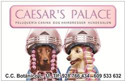 Horario de apertura Peluquería Canina Caesar’s Palace, San Bartolomé de Tirajana