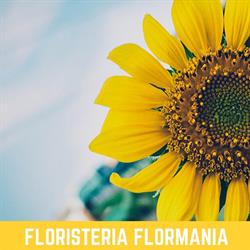 Horario de apertura Flormania, Inca