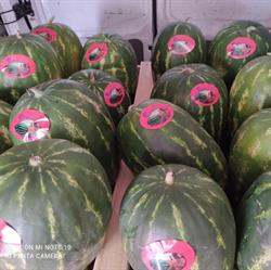 Horario de apertura Frutería Los Olivos, Sotillo de la Adrada