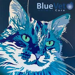 Horario de apertura BlueVet Las Matas, 