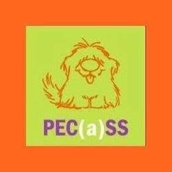 Asociación PECASS en Palma de Mallorca (Platja De Palma) - Horario de apertura