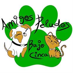 Horario de apertura Amigos Peludos Bajo Cinca/ Protectora d'Animals de Seròs, Serós