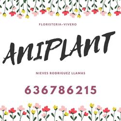 Horario de apertura Aniplant, Abraveses de Tera