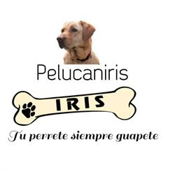 Peluquería Autolavado Iris en Madrid (Villaverde) - Horario de apertura