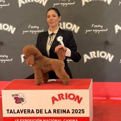 Horario de apertura Patitas Limpias Peluquería Canina, Valdemoro