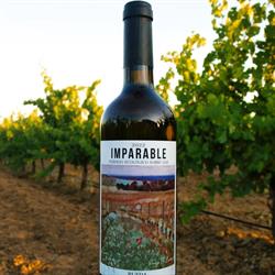 Horario de apertura Imparable Vinos y Viñedos, Pozáldez