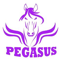 Horario de apertura Pegasus Soluciones Integrales, Tavernes de la Valldigna