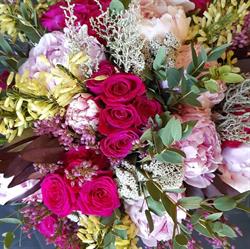 Floristería Capricho Moevic . Mónica lahoz en Zaragoza (Santa Isabel) - Horario de apertura