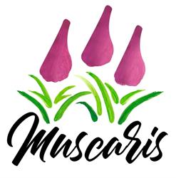 Horario de apertura Muscaris, Alpedrete