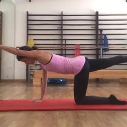 Horario de apertura Fisioterapia y Pilates Puerta de Hierro, Madrid