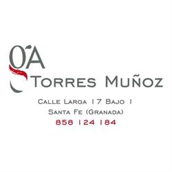 Horario de apertura GESTORIA ADMINISTRATIVA TORRES & MUÑOZ, Santa Fe