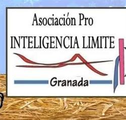 Asociación Pro Inteligencia Límite. en Granada (Ronda) - Horario de apertura