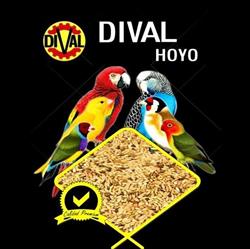 Horario de apertura DIVAL HOYO, El Hoyo de Pinares