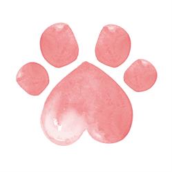 Horario de apertura Pura Vida Animal - Clínica Veterinaria en Reus, Tarragona