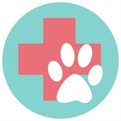 Clínica Veterinaria Sans (antes La Raboseta) en Valencia (Rascanya) - Horario de apertura
