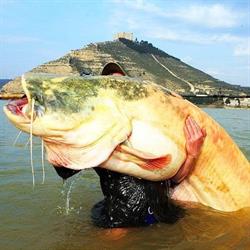 Horario de apertura EBRO FISHING MEQUINENZA 1990 S.L., Mequinenza