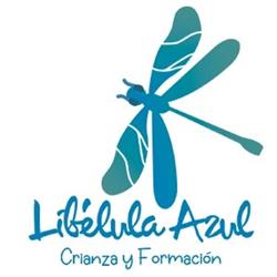 Centro de formación y desarrollo humano Libélula Azul en Granada (La Chana) - Horario de apertura