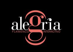 Horario de apertura Iniciación al Flamenco en el centro interactivo de Málaga, 