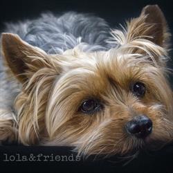 Lola&Friends Photography / Studio Lolandfriends en Barcelona (Sarrià-Sant Gervasi) - Horario de apertura