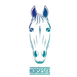 Horario de apertura HORSESITE, Pozuelo de Alarcón