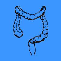 Horario de apertura Microbiota Hidroterapia de colon Las Palmas, Santa María de Guía