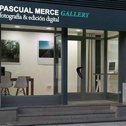 Horario de apertura PASCUAL MERCÉ GALLERY, Castellón de la Plana