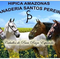 Horario de apertura Hipica Amazonas Ganadería Santos Pereira, A Insua