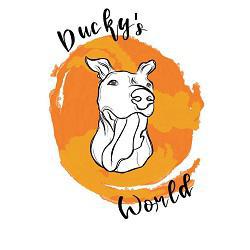 Horario de apertura Ducky's World, Sant Adria de Besos