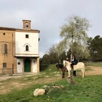 Horario de apertura Field And Horse, Llíria
