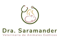 Dra. Saramander en Ocaña (Mesa De Ocaña) - Horario de apertura