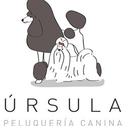 Horario de apertura Úrsula Peluquería Canina, Padul