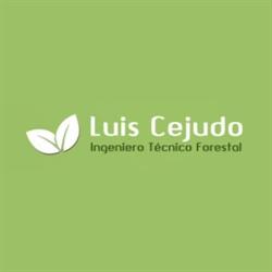 Horario de apertura Gabinete Técnico de Ingeniería Luis Cejudo, Valverde del Camino