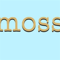 Horario de apertura MOSS, Barakaldo