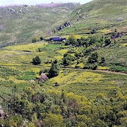 Horario de apertura Escanlar Albergue, Lugo