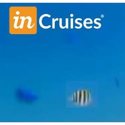 Horario de apertura Cruceros Incruises Arelis, Güímar
