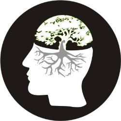 Horario de apertura Traductores Nativos de Native Creators LTD, Madrid