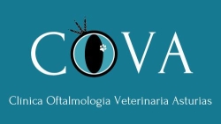 Horario de apertura Clínica Oftalmología Veterinaria Asturias, Gijón