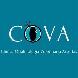 Horario de apertura Clínica Oftalmología Veterinaria Asturias, Gijón