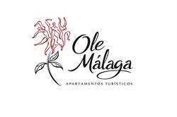 Horario de apertura Ole Malaga, 