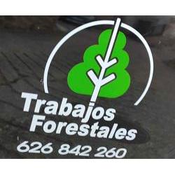 Horario de apertura Trabajos Forestales Fernando, Logroño