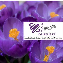 Horario de apertura ACCU OURENSE - Asociación de Crohn e colite ulcerosa de Ourense,