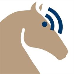 Horario de apertura Terraequus, Moraleja de Enmedio