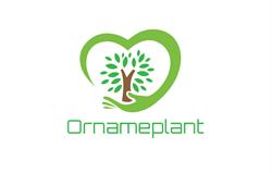 Horario de apertura Ornameplant Viveros, El Ejido