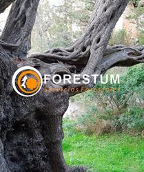 Horario de apertura Forestum Servicios Forestales, Eivissa