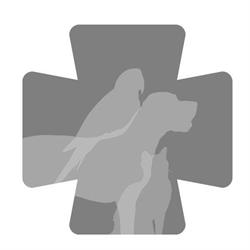 Horario de apertura Clínica Veterinària Vil·la Amèlia, Barcelona