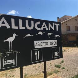 Horario de apertura Allucant, Gallocanta