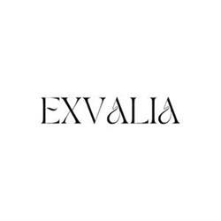 Horario de apertura Exvalia, Inca