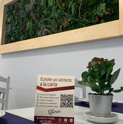 Bar Recreo en Córdoba (Centro) - Horario de apertura